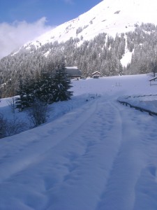with the snow forecast it may look like this soon in Morzine